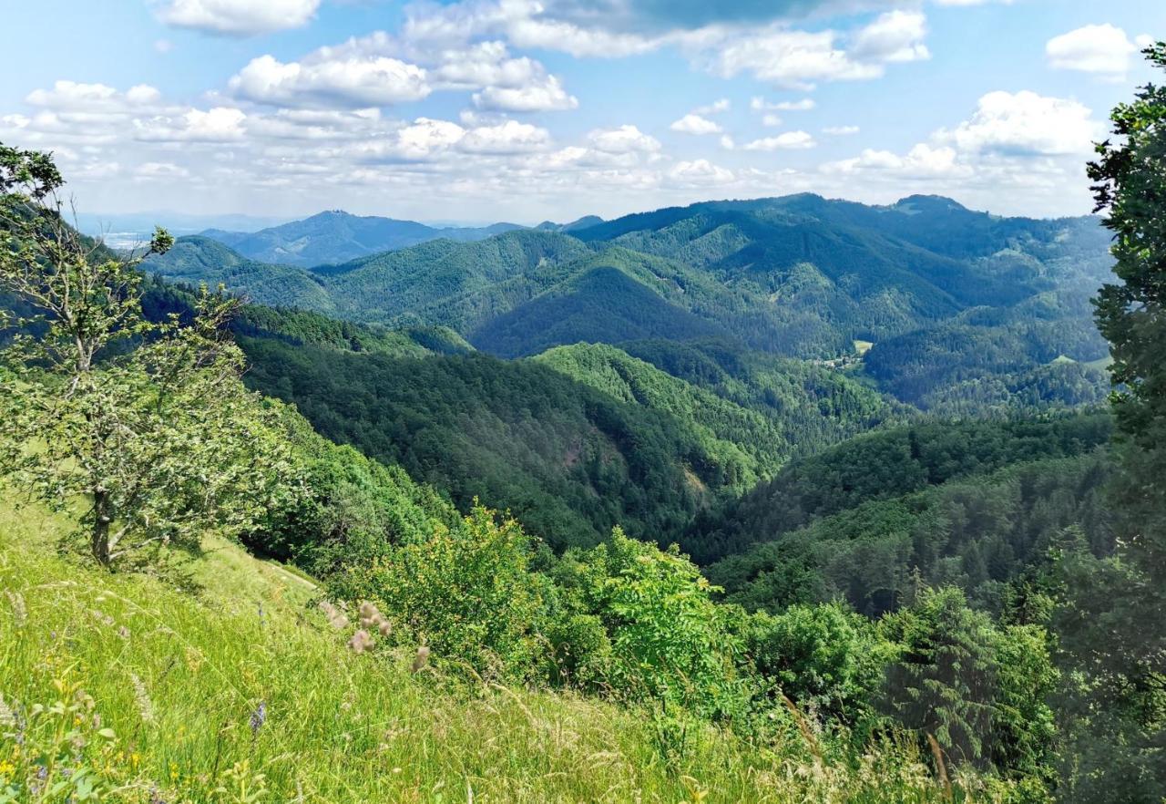 Bajta Kroparica Екстериор снимка